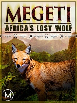 Poster Megeti - Africa's Lost Wolf (2016)