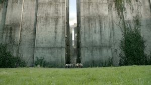 The Maze Runner