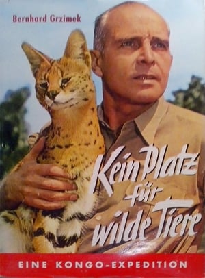 Poster Kein Platz für wilde Tiere 1956