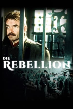 Poster La Rébellion 1993