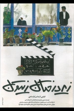 Image زیر درختان زیتون