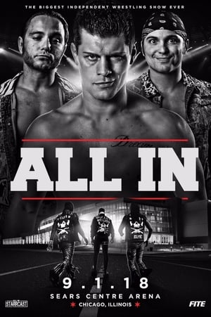 Poster All In (2018)