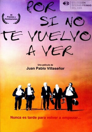 Por si no te vuelvo a ver poster