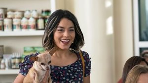 Nossa Vida com Cães ( 2018 ) Dublado Online – Assistir HD 720p