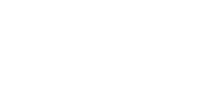 Snake City