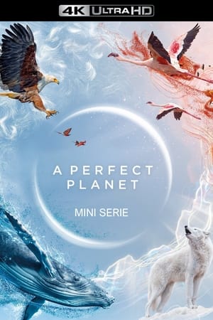 Poster Een Perfecte Planeet 2021