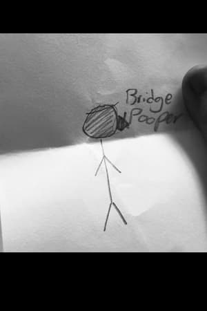 Image Bridge Pooper