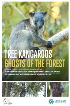 Tree Kangaroos: Ghosts of the Forest 11