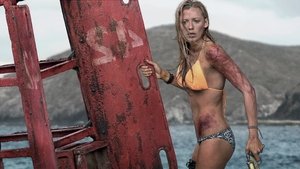 ดูหนัง The Shallows (2016) นรกน้ำตื้น [Full-HD]