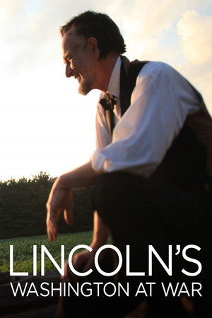 Lincoln's Washington at War