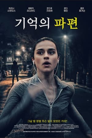 기억의 파편