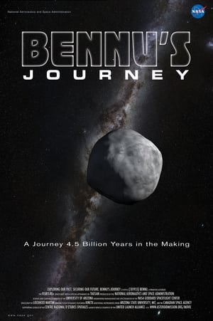 Image Bennu's Journey