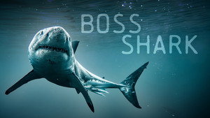 Boss Shark (2024) Sub Indo