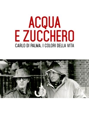 Acqua e zucchero: Carlo Di Palma, i colori della vita