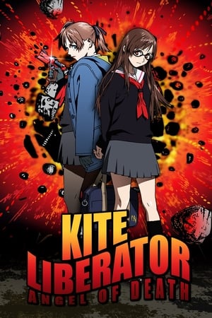 Poster Kite Liberator 2008