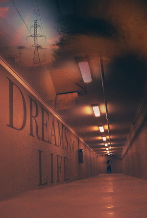 Dreams of Life 4