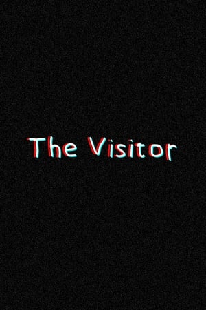 The Visitor poster