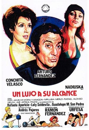 Poster Un lujo a su alcance 1975