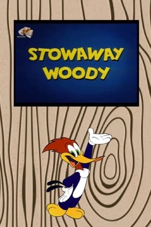 Stowaway Woody poster