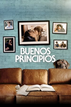 Poster Buenos principios 2019