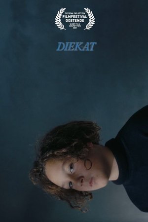 Image Diekat