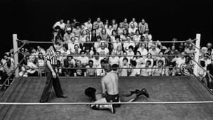 Head Over Heels: Remembering Wrestling at the Chase film complet