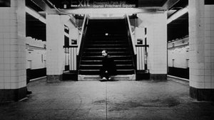 Hằng Số Pi: Tìm Kiếm Niềm Tin Trong Sự Hỗn Loạn