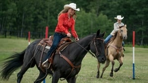 Heartland – Paradies für Pferde: 9×5