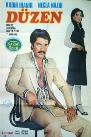 Poster Düzen (1978)