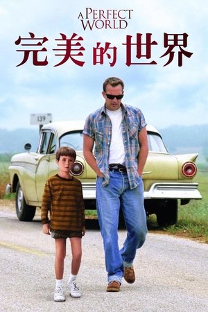 完美的世界 (1993)