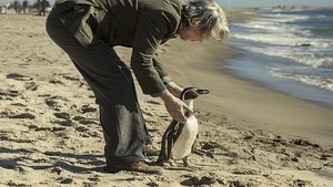 The Penguin Lessons-2025