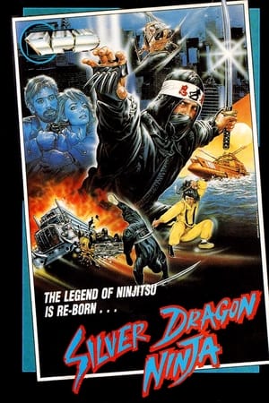 Poster Silver Dragon Ninja 1986