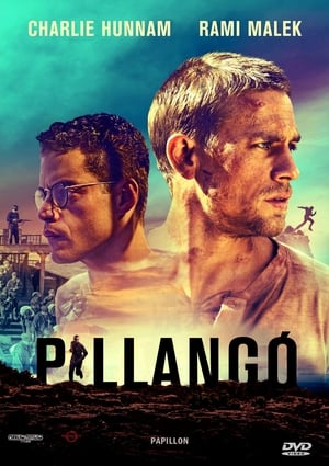 Poster Pillangó 2017