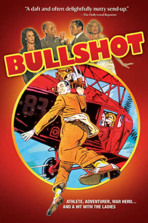 Bullshot poster