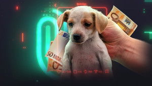 Episode 18 | StreamHub