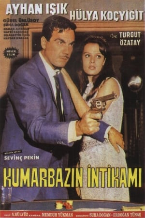 Kumarbazın İntikamı poster