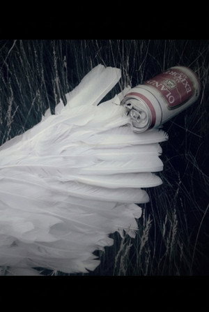 Broken Wings