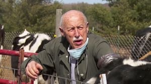 The Incredible Dr. Pol Toe the Swine