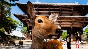 Japan: Earth's Enchanted Islands Honshu