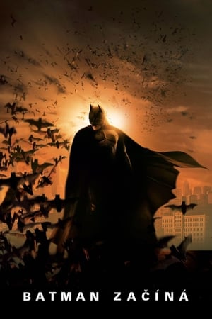 Poster Batman začíná 2005