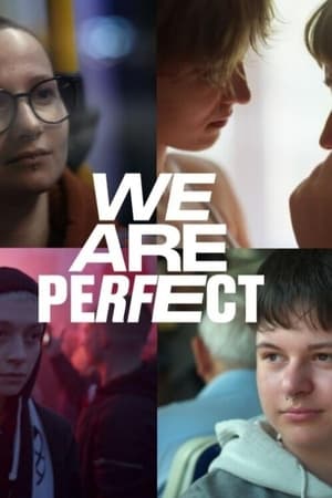 Poster We Are Perfect (2023)