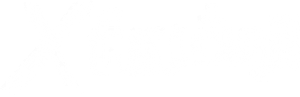 Project X — Logos 1