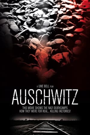 Poster Auschwitz (2011)