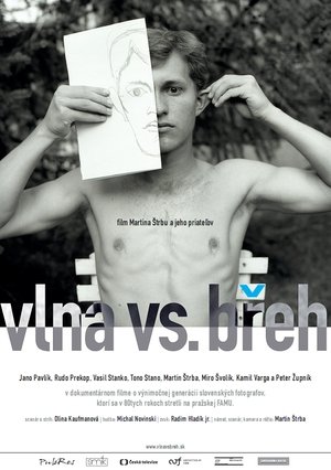 Poster Vlna vs. breh 2014