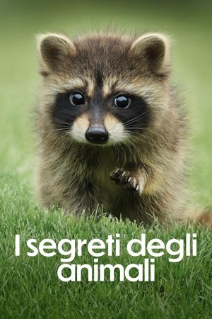 Image I segreti degli animali