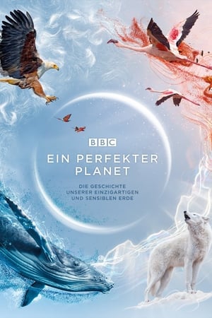 Image Ein perfekter Planet