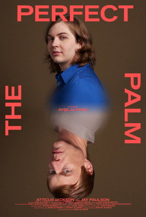 The Perfect Palm