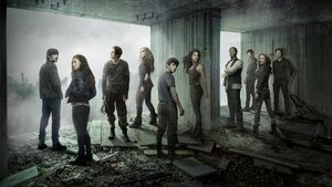 poster The 100