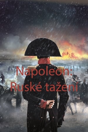 Napoléon, la campagne de Russie - La Berezina poster