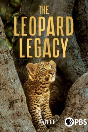 Poster The Leopard Legacy (2020)
